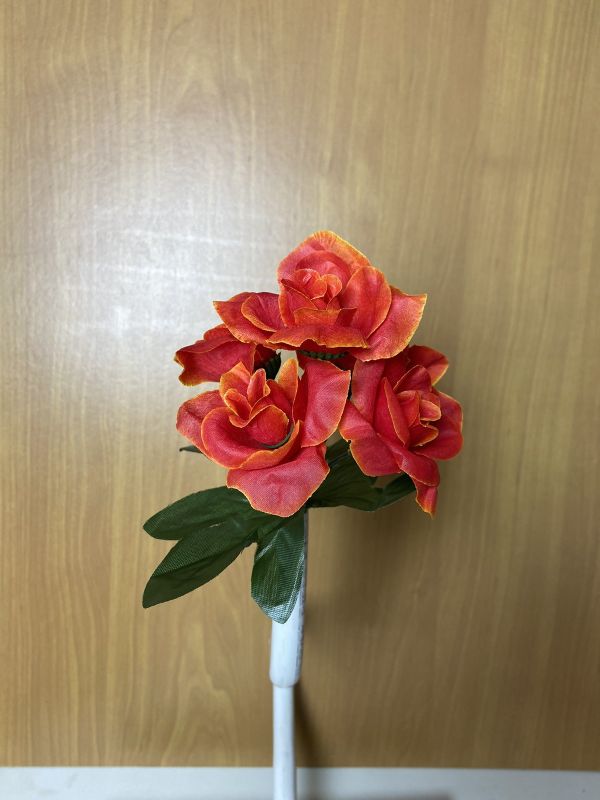 Бордюрні квіти Троянда VV0001910010