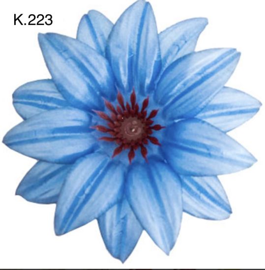 Крокус гострий д.125
