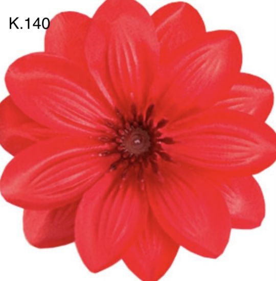 Крокус звичаний д.125 мм