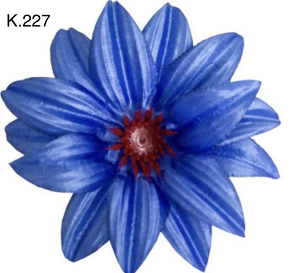 Крокус гострий д.125