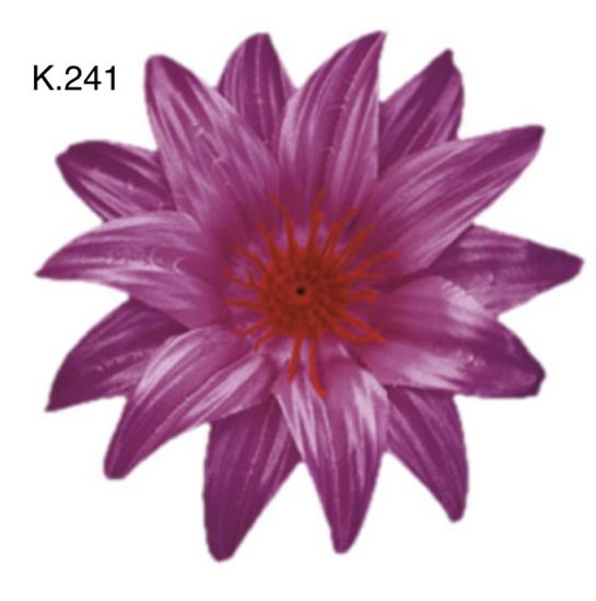 Крокус гострий д.125