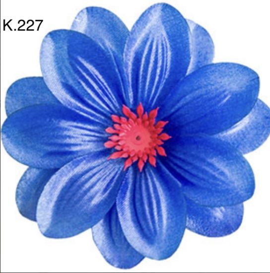 Крокус звичаний д.125 мм