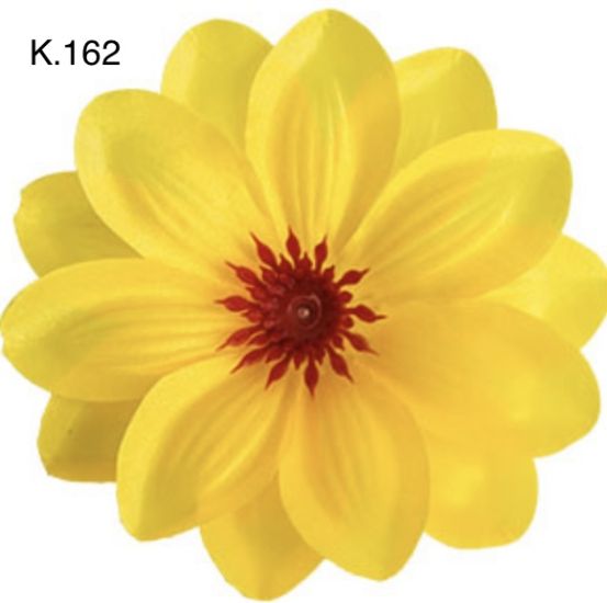 Крокус звичаний д.125 мм