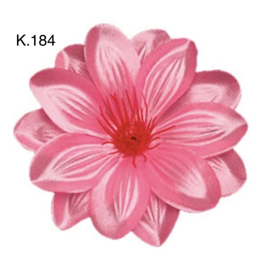 Крокус звичаний д.125 мм