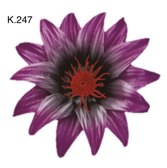 Крокус гострий д.125