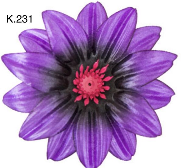 Крокус гострий д.125