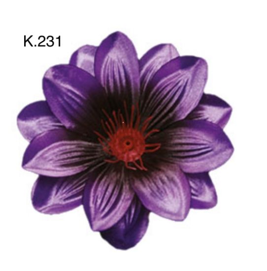 Крокус звичаний д.125 мм