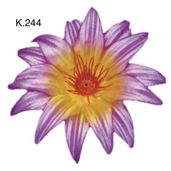 Крокус гострий д.125