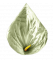 Кала атлас