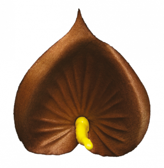 Кала еліт