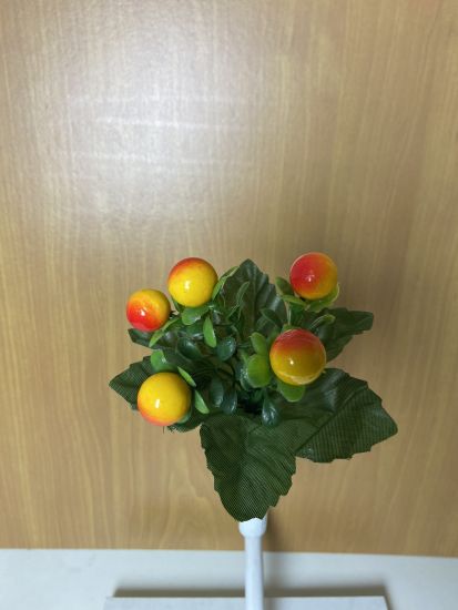 Бордюрні квіти Ягода VV000191002