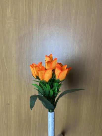 Бордюрні квіти   Крокус VV00016510010