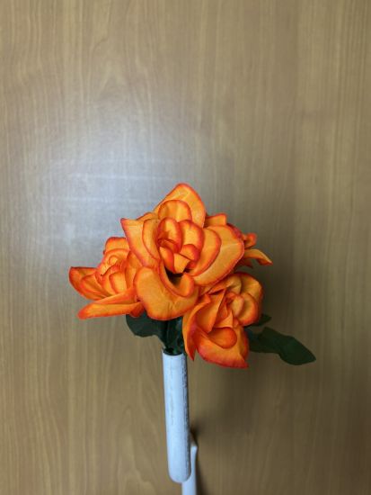 Бордюрні квіти Троянда VV0001910010