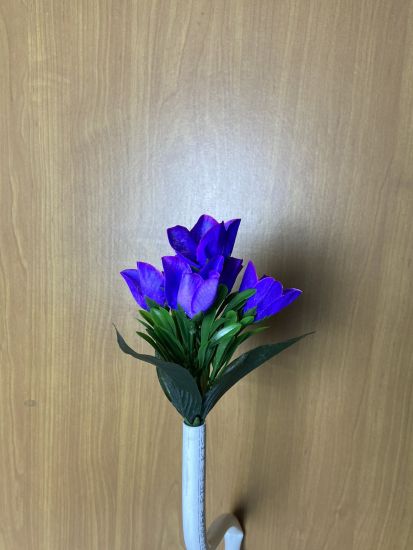 Бордюрні квіти   Крокус VV00016510010