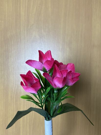 Бордюрні квіти   Крокус VV00016510010