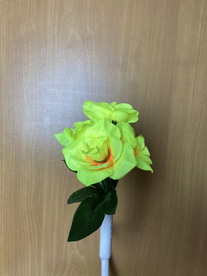 Бордюрні квіти Троянда VV0001910010