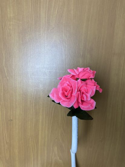 Бордюрні квіти Троянда VV0001910010