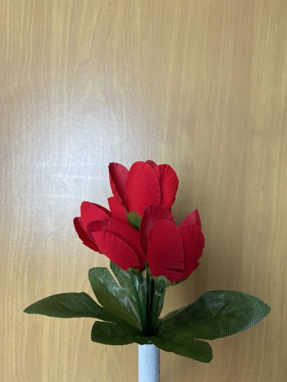 Бордюрні квіти Тюльпан Оксамитовий  VV000191002