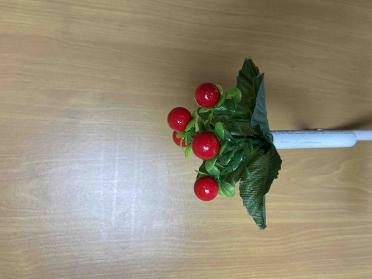 Бордюрні квіти Ягода VV000191002