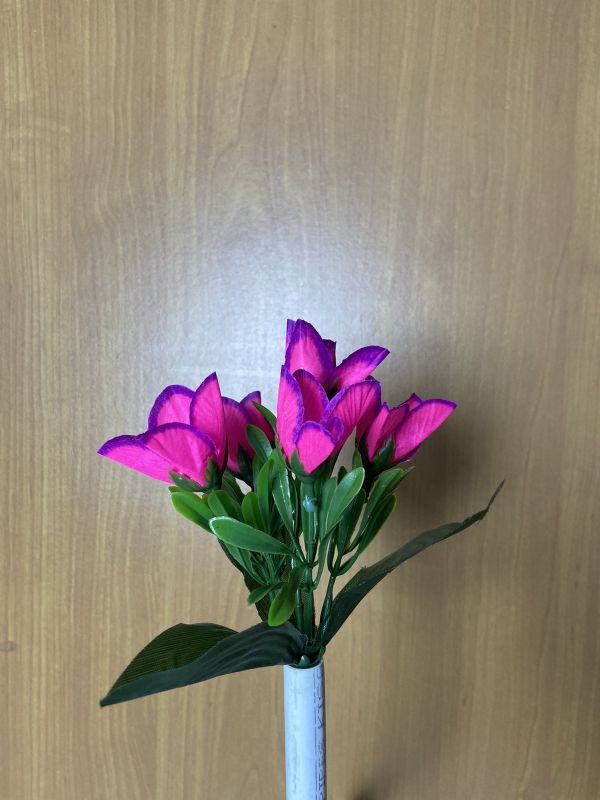 Бордюрні квіти   Крокус VV00016510010