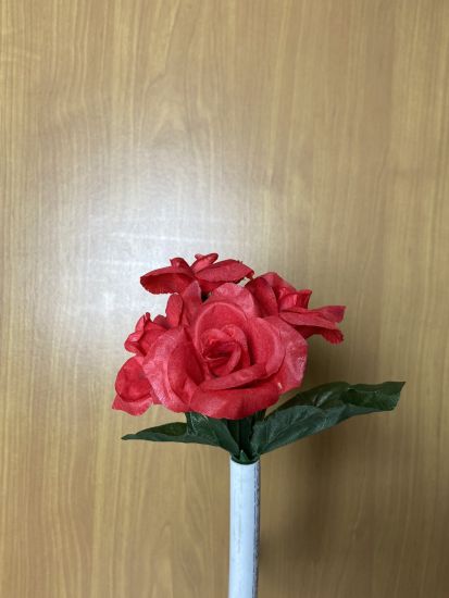 Бордюрні квіти Троянда VV0001910010