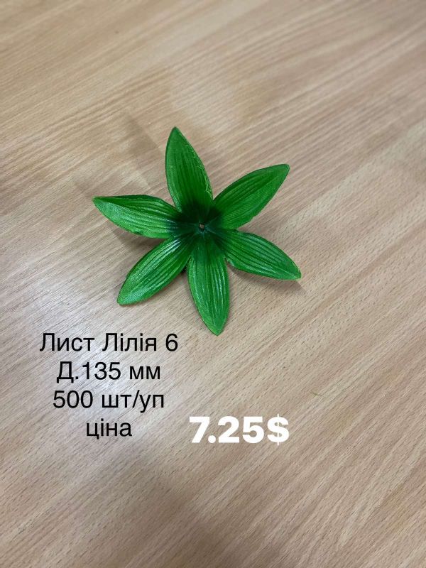 Лист Лілія 6 Лист Лілія 6