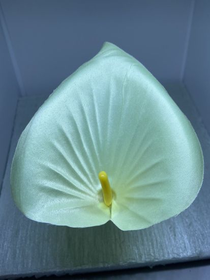 Кала еліт