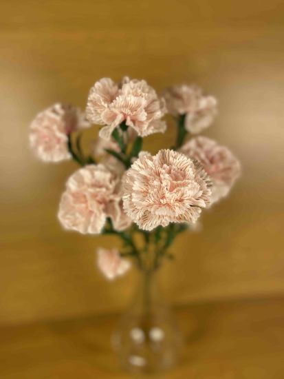 Штучні квіти Букет Гвоздика  ОА000952010 7 голів 14 квіток