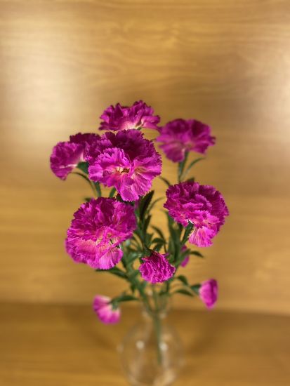 Штучні квіти Букет Гвоздика  ОА000952010 7 голів 14 квіток